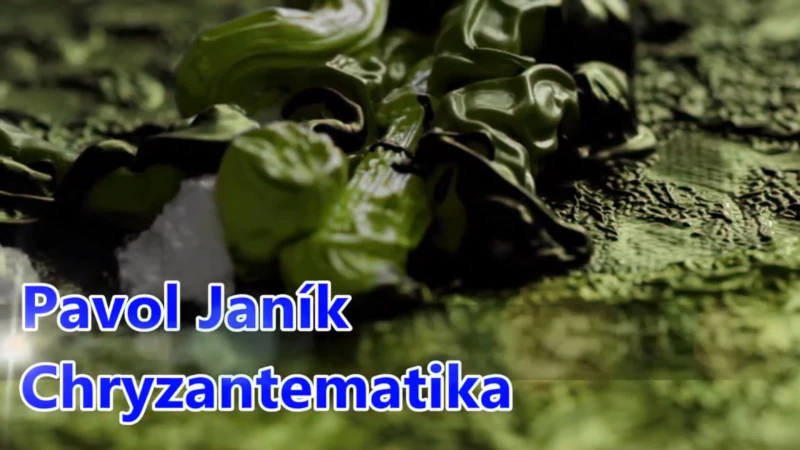 Obrázok je len ilustračný, nesúvisí priamo s textom.