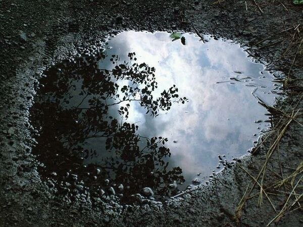 odraz oblohy v mláke