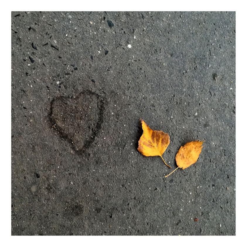 Vinifera srdce a listy