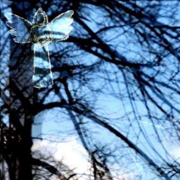 anjel nalepený na okne s odrazom stromov