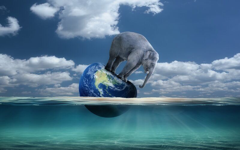 Obrázok je len ilustračný, nesúvisí priamo s textom.