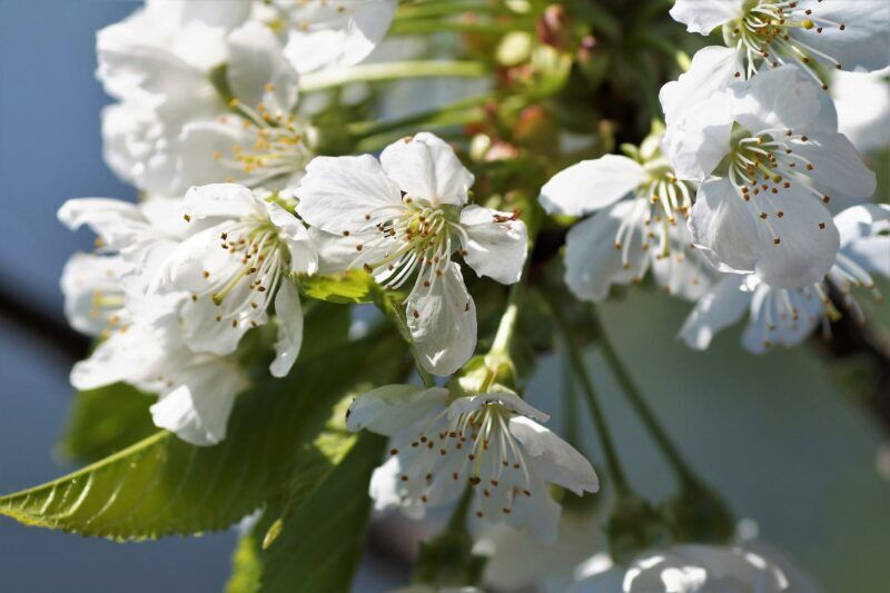 Obrázok je len ilustračný, nesúvisí priamo s textom.