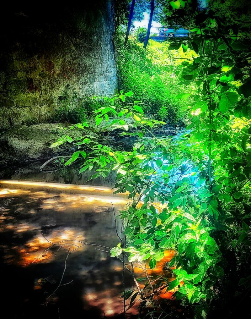 Obrázok je len ilustračný, nesúvisí priamo s textom.