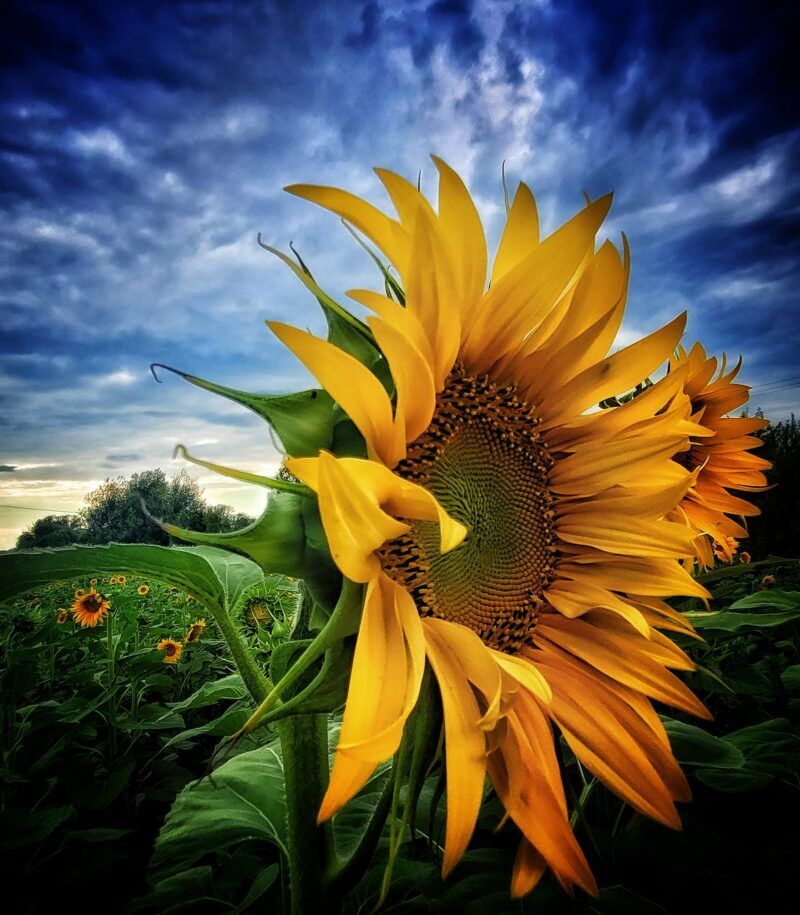 Obrázok je len ilustračný, nesúvisí priamo s textom.