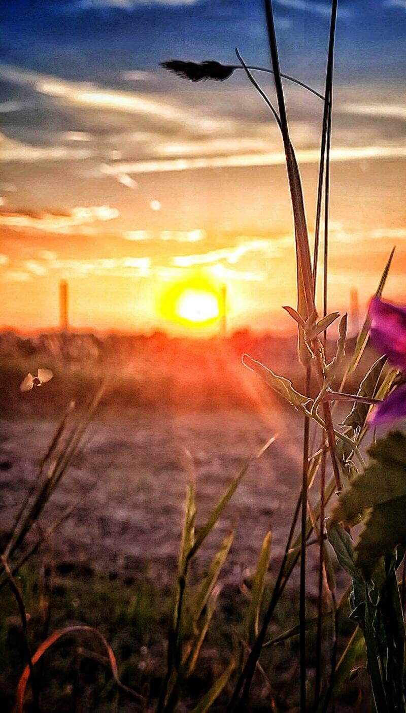 Obrázok je len ilustračný, nesúvisí priamo s textom.