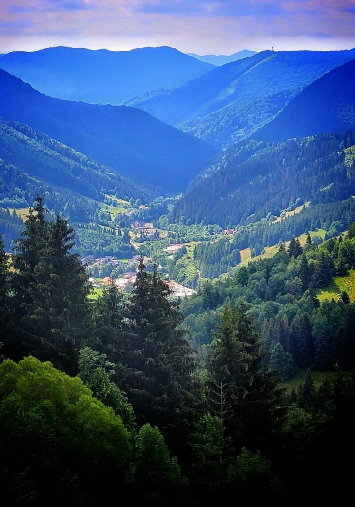 Obrázok je len ilustračný, nesúvisí priamo s textom.