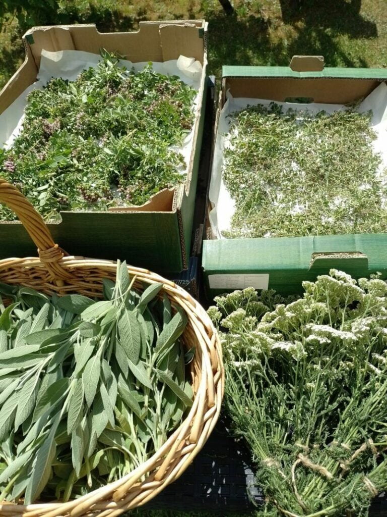 Obrázok je len ilustračný, nesúvisí priamo s textom.