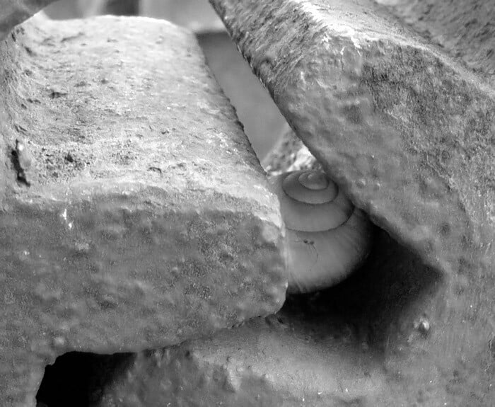 Obrázok je len ilustračný, nesúvisí priamo s textom.