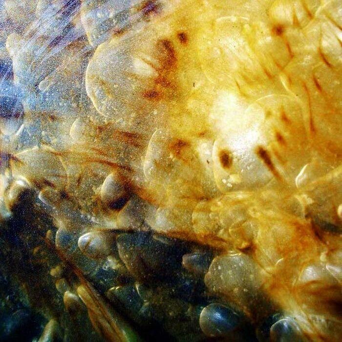 Obrázok je len ilustračný, nesúvisí priamo s textom.