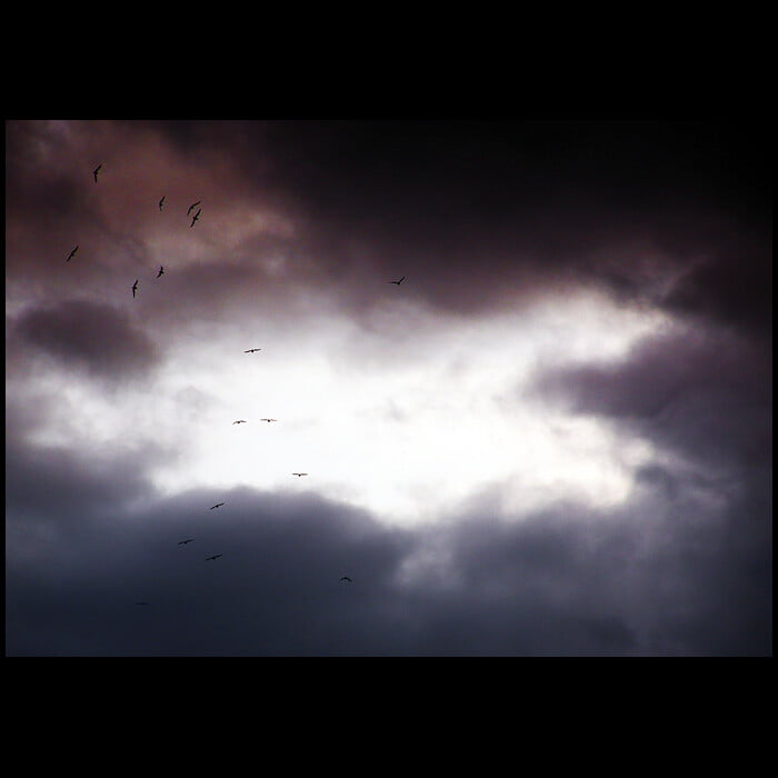 Obrázok je len ilustračný, nesúvisí priamo s textom.