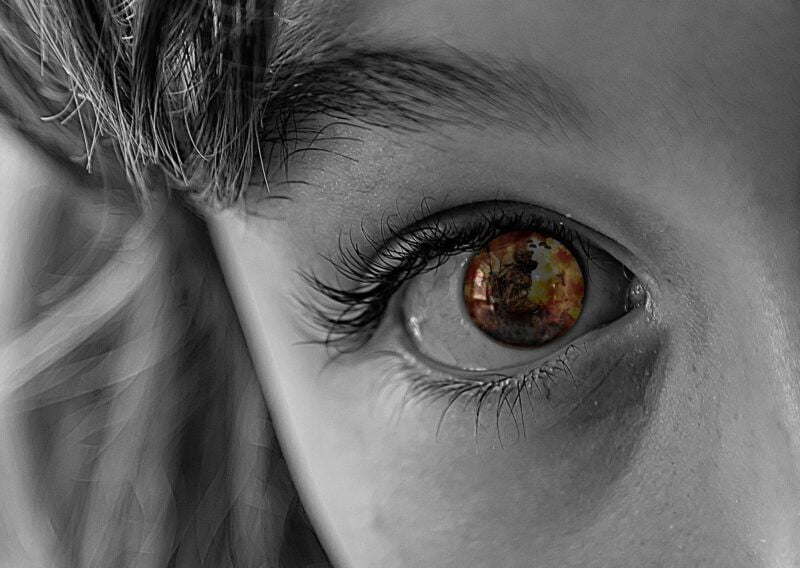 Obrázok je len ilustračný, nesúvisí priamo s textom.