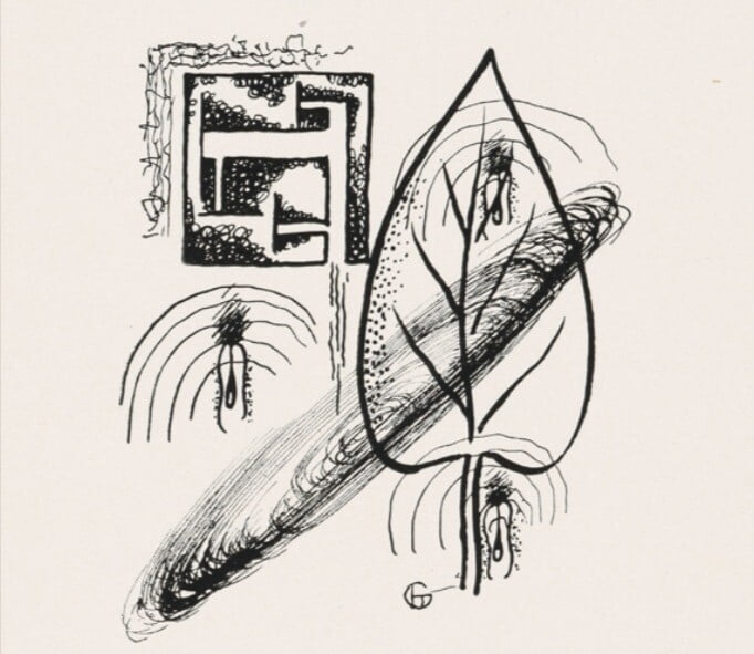 Obrázok je len ilustračný, nesúvisí priamo s textom.