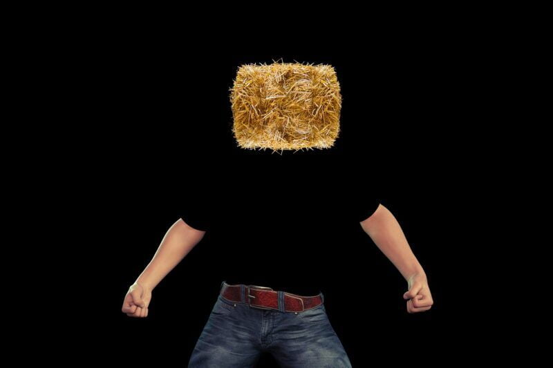 Obrázok je len ilustračný, nesúvisí priamo s textom.