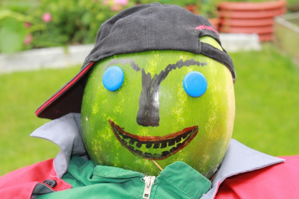 Obrázok je len ilustračný, nesúvisí priamo s textom.