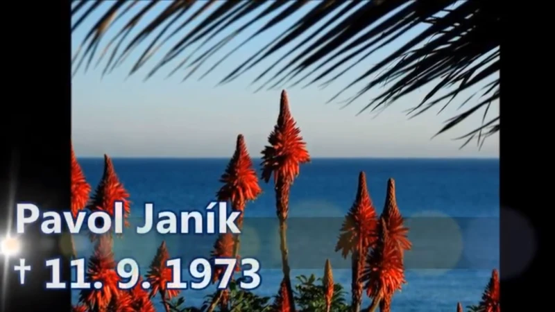 Obrázok je len ilustračný, nesúvisí priamo s textom.