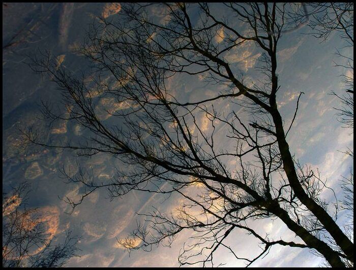 Obrázok je len ilustračný, nesúvisí priamo s textom.