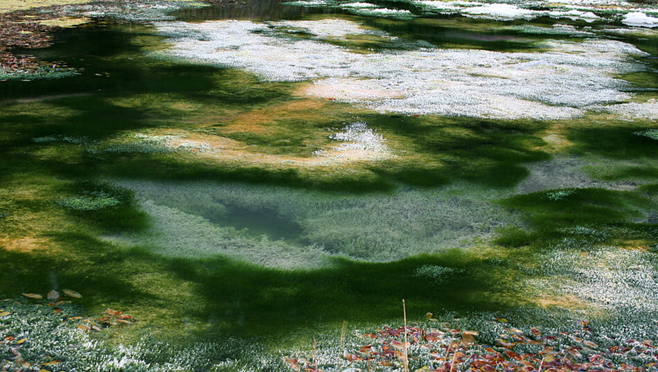 Obrázok je len ilustračný, nesúvisí priamo s textom.