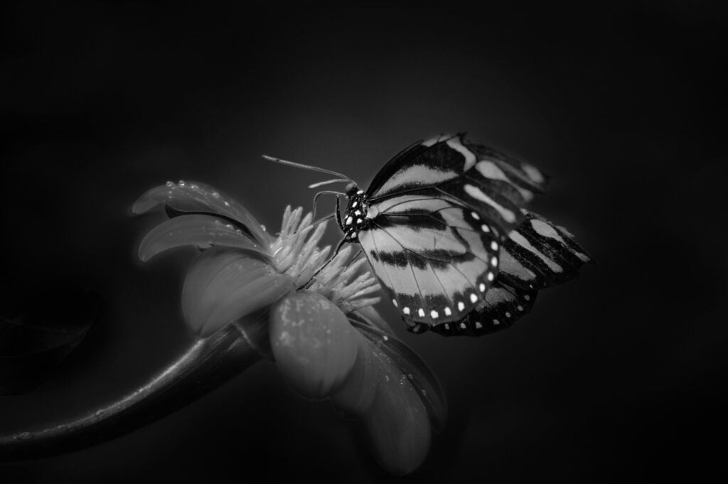 Obrázok je len ilustračný, nesúvisí priamo s textom.