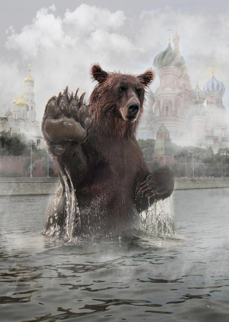 bear, moscow, animals