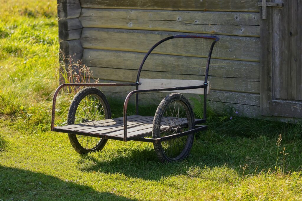 Obrázok je len ilustračný, nesúvisí priamo s textom.