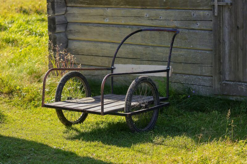 Kára plná bolesti…