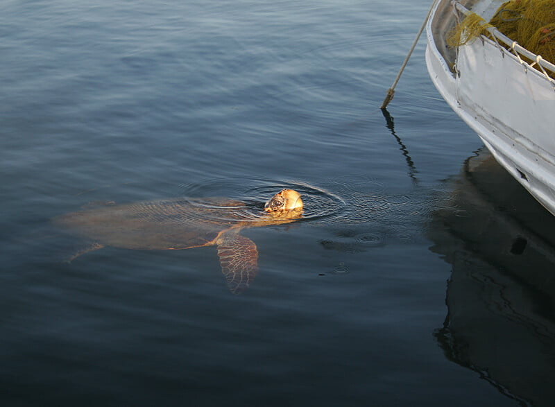 Obrázok je len ilustračný, nesúvisí priamo s textom.