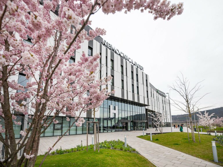 pohľad na nemocnicu bory