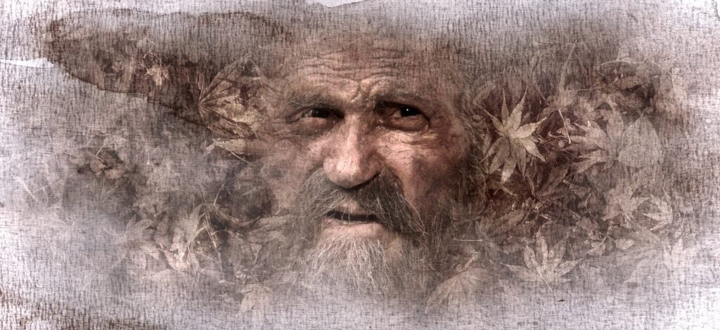 Obrázok je len ilustračný, nesúvisí priamo s textom.