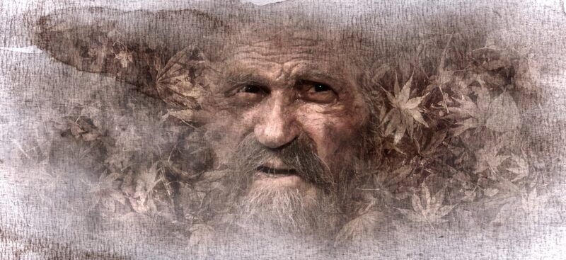 Obrázok je len ilustračný, nesúvisí priamo s textom.