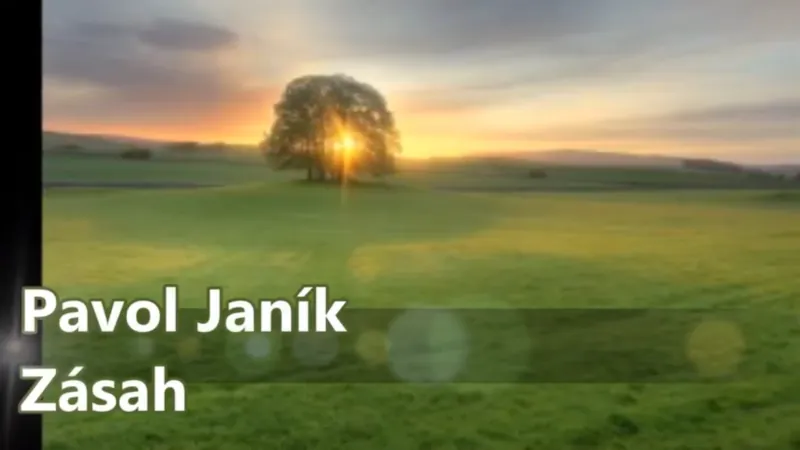 Obrázok je len ilustračný, nesúvisí priamo s textom.