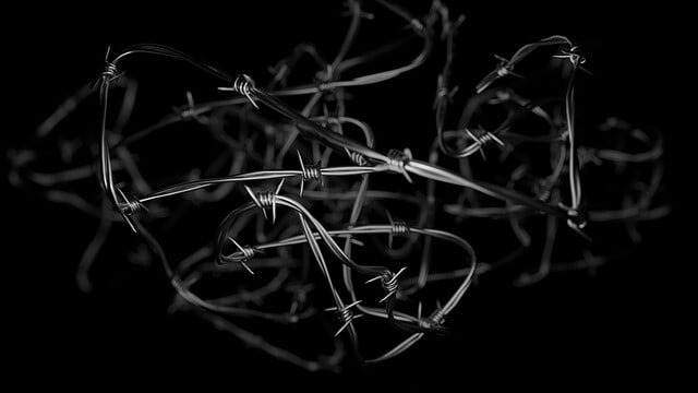 Obrázok je len ilustračný, nesúvisí priamo s textom.