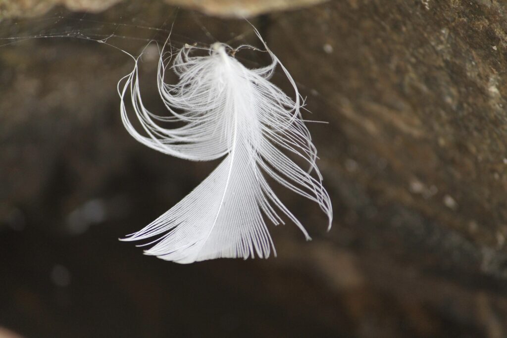 Obrázok je len ilustračný, nesúvisí priamo s textom.