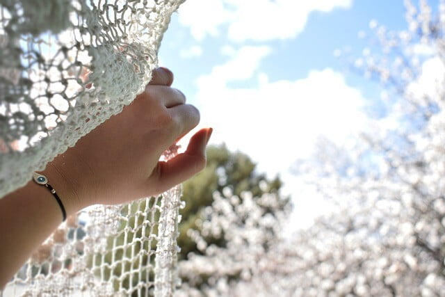 Obrázok je len ilustračný, nesúvisí priamo s textom.