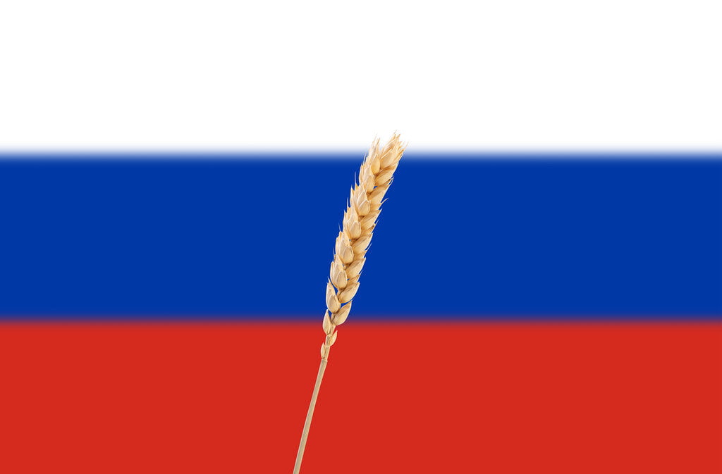 ruská vlajka a klas pšenice
