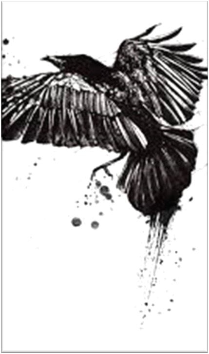 havran - Obrázok je len ilustračný, nesúvisí priamo s textom.