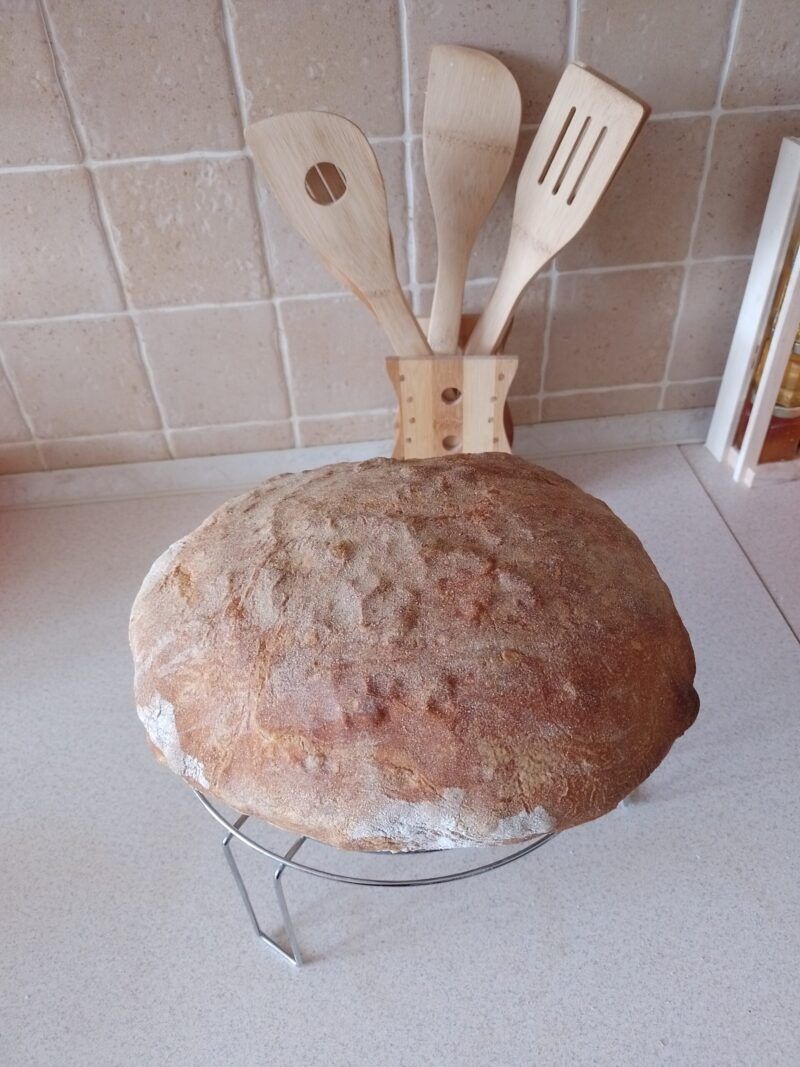 Obrázok je len ilustračný, nesúvisí priamo s textom.