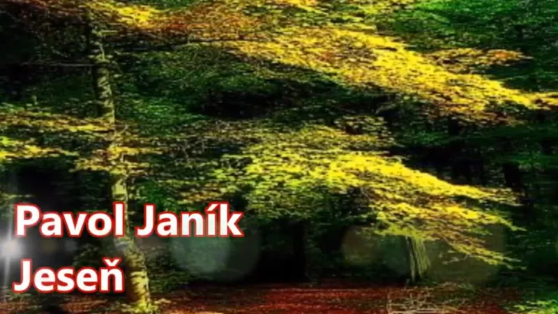 Obrázok je len ilustračný, nesúvisí priamo s textom.