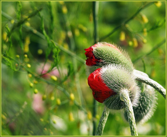 Obrázok je len ilustračný, nesúvisí priamo s textom.