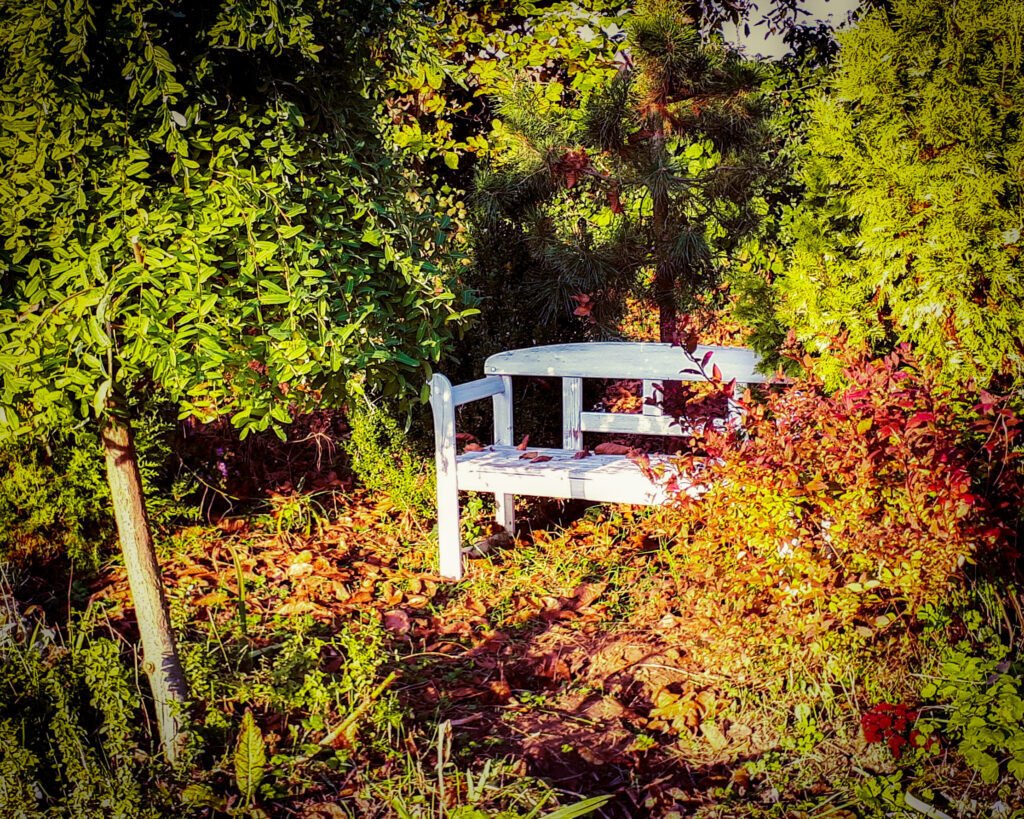 Obrázok je len ilustračný, nesúvisí priamo s textom.