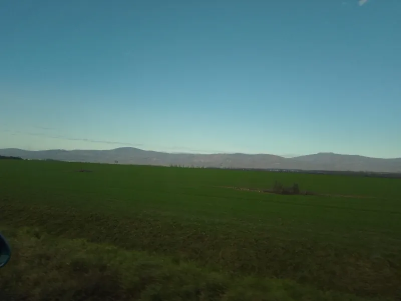 Obrázok je len ilustračný, nesúvisí priamo s textom.