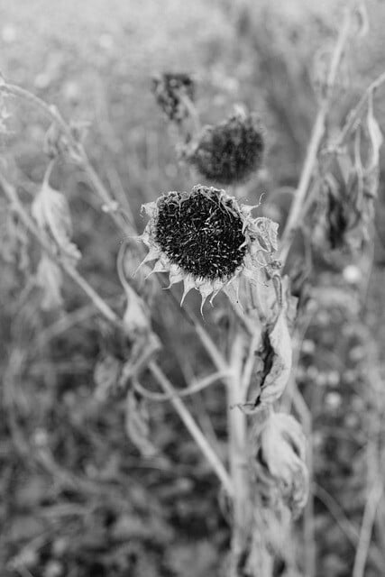 Obrázok je len ilustračný, nesúvisí priamo s textom.