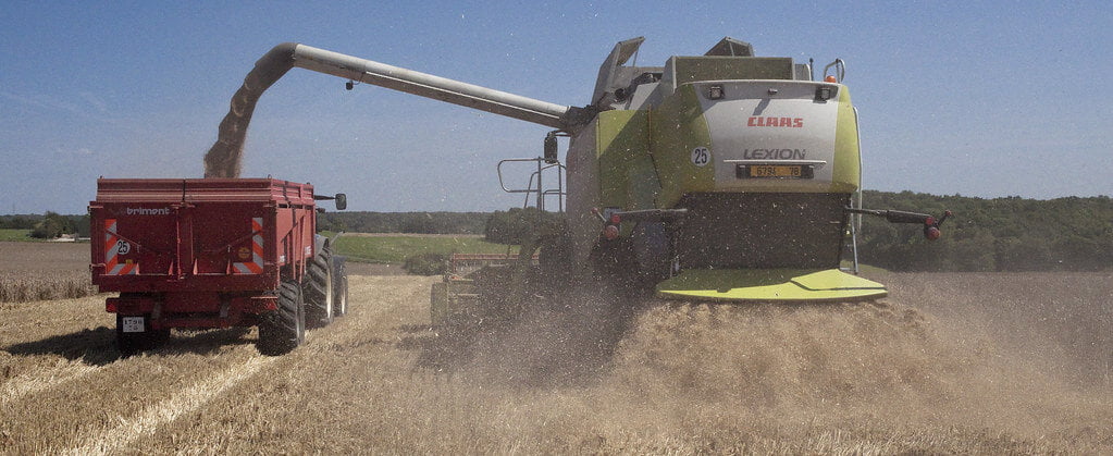 zber obilia kombajnom, nakladanie na nákladné vozidlo