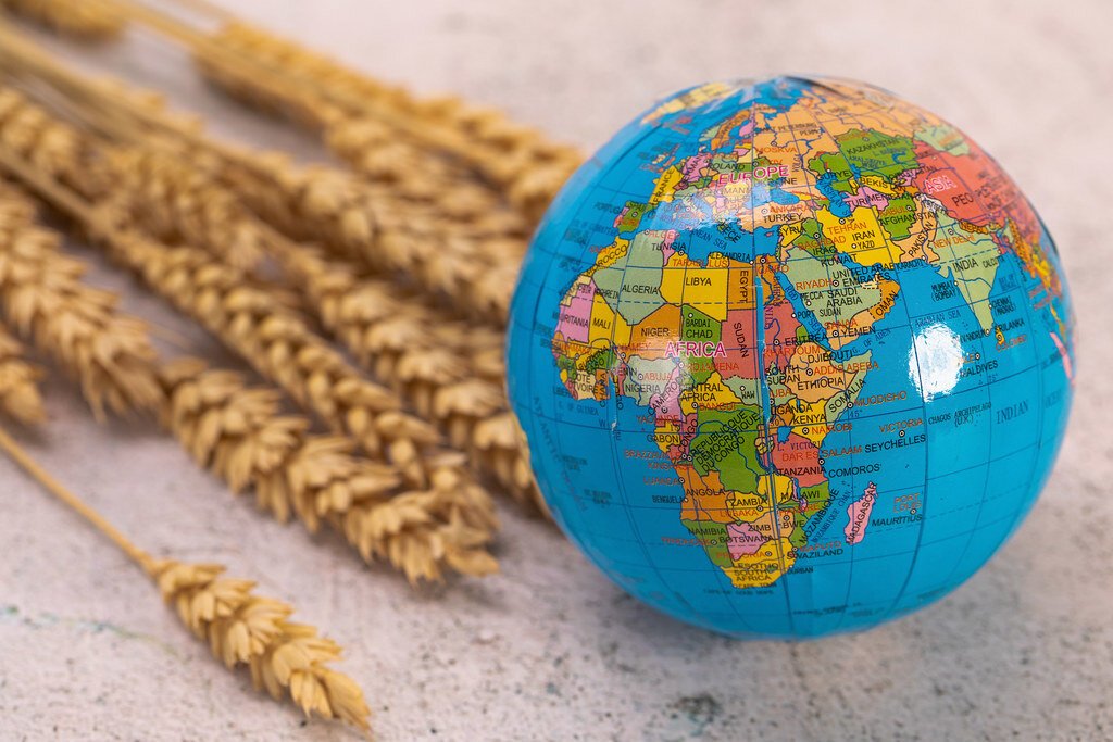 Obrázok je len ilustračný, nesúvisí priamo s textom.