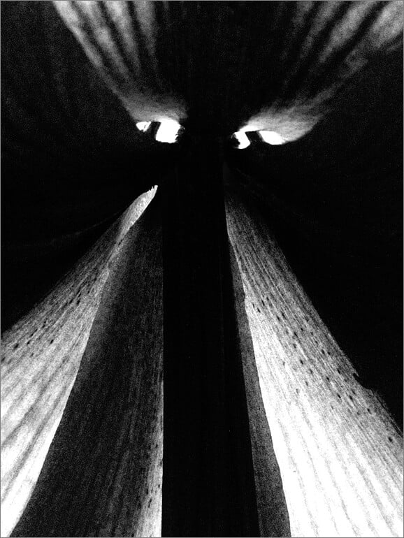 Obrázok je len ilustračný, nesúvisí priamo s textom.