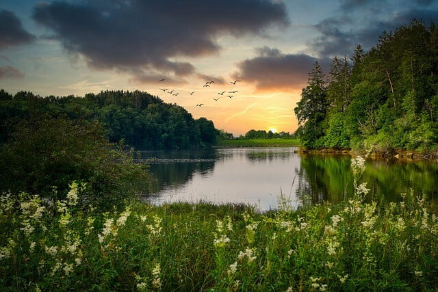 Obrázok je len ilustračný, nesúvisí priamo s textom.