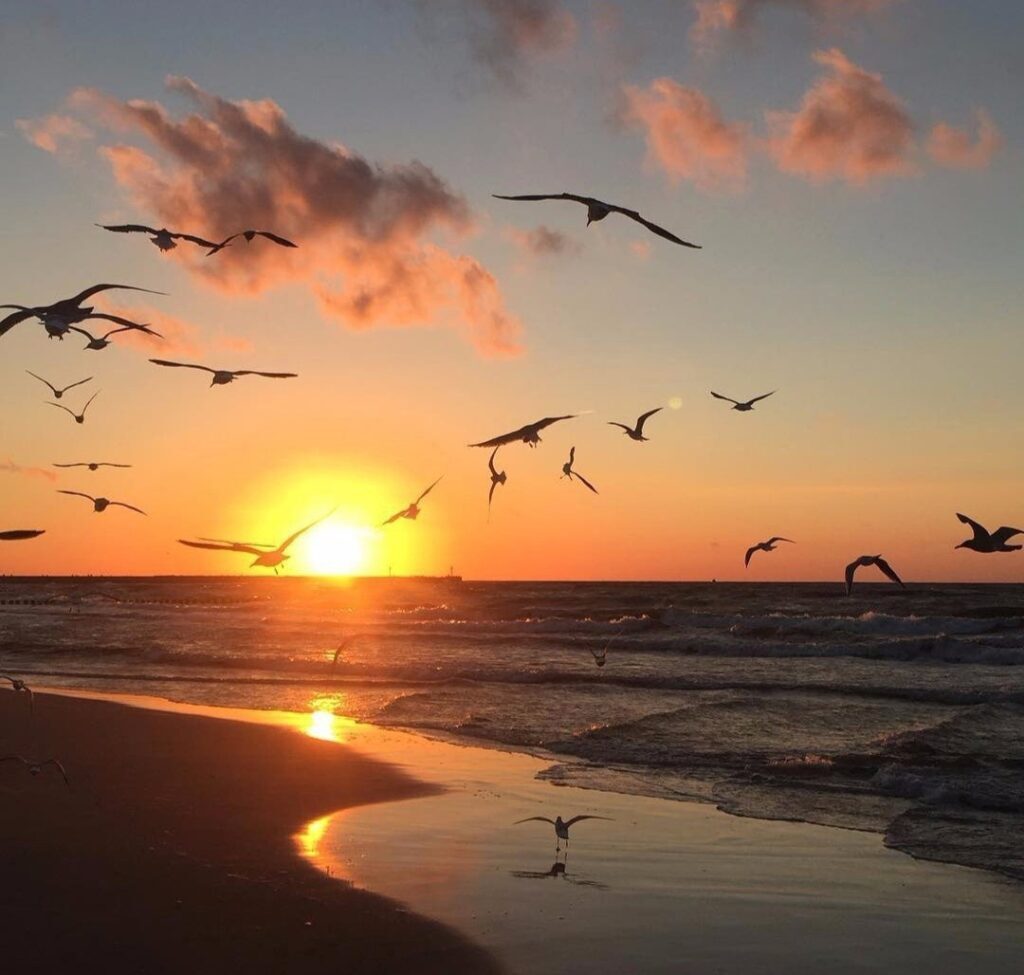 Obrázok je len ilustračný, nesúvisí priamo s textom.