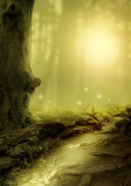 Obrázok je len ilustračný, nesúvisí priamo s textom.