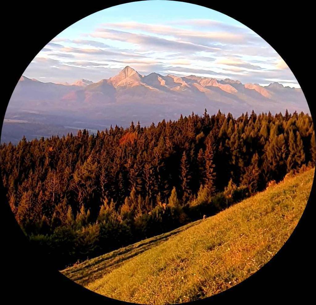 370616949_308098391767575_5594266808743112823_n