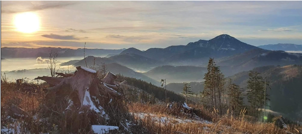 Obrázok je len ilustračný, nesúvisí priamo s textom.