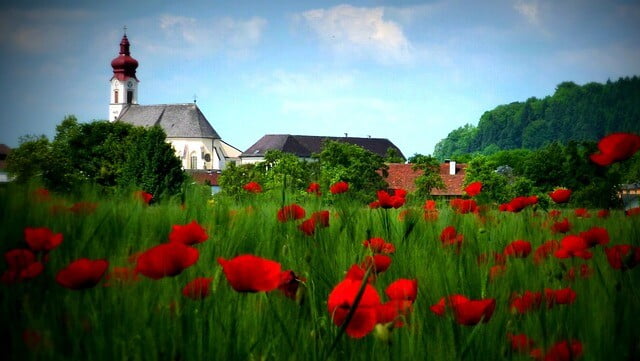 Obrázok je len ilustračný, nesúvisí priamo s textom.